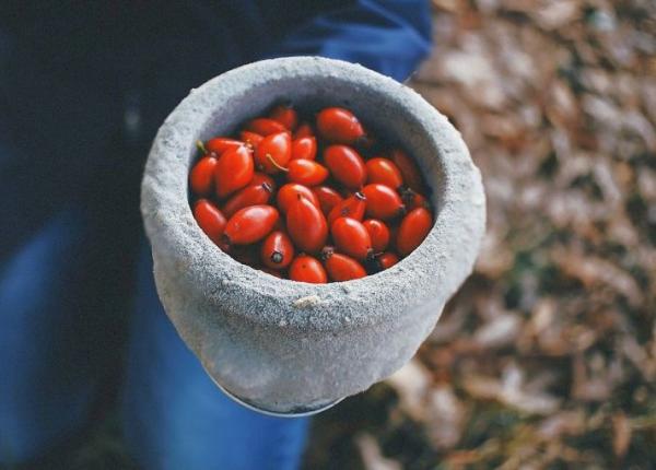 bioenergoterapeutul lidia fecioru leac miraculos pentru ficatul gras