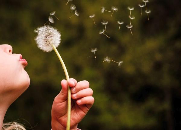 lidia fecioru cum sa ti indeplinesti orice dorinta legea atractiei e cheia