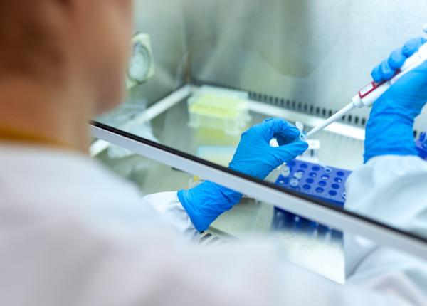 teste pentru covid 19 in farmacii ce se va intampla cu rezultatele