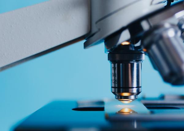 oamenii de stiinta au creat un organism sintetic unicelular incredibil poate da peste cap lumea medicala