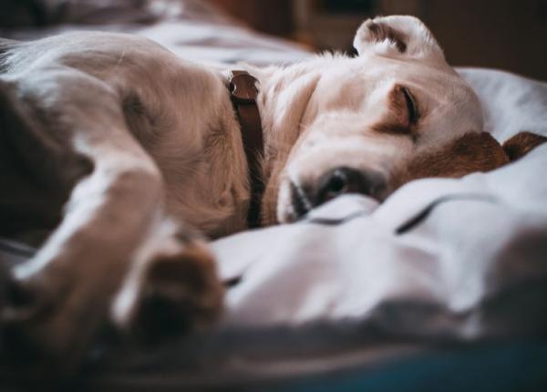 horoscop 7 aprilie zodia care trebuie sa se odihneasca mai mult