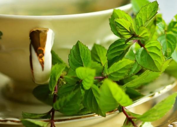 sindromul colonulu iritabil plante care ajuta in terapie