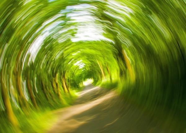 cum combati raul de miscare