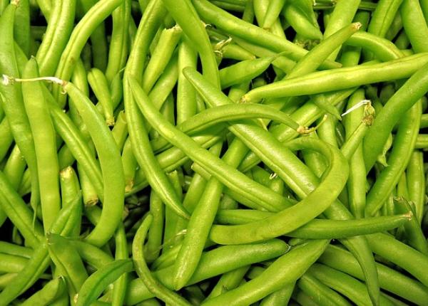 mancarea de fasole verde ideala in curele de slabire si meniurile de post reteta lui cori gramescu