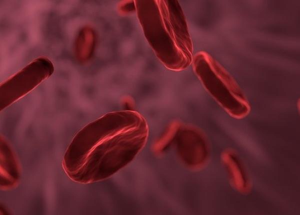 ziua mondiala a hemofiliei apelul asociatiei de profil in romania pacientii cu hemofilie inca nu beneficiaza de tratamentul adecvat ziua mondiala a hemofiliei apelul asociatiei de profil in romania pacientii cu hemofilie inca nu beneficiaza de tratamentul adecvat