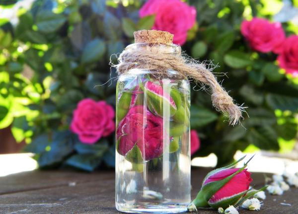 apa de trandafiri miraculoasa pentru orice tip de piele 3 retete de frumusete