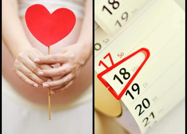 baiat sau fata cum sa alegi sexul bebelusului tau baiat sau fata cum sa alegi sexul bebelusului tau