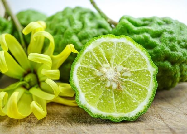 bergamota un citric inca necunoscut cu puternice proprietati antiseptice si antibacteriene