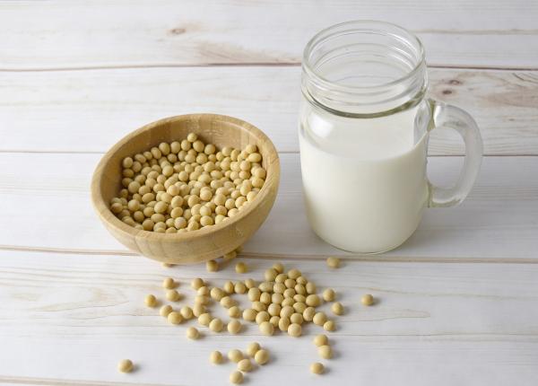 soia pericolul din post pentru sanatate medicul bilic elan veganist dus la extrem