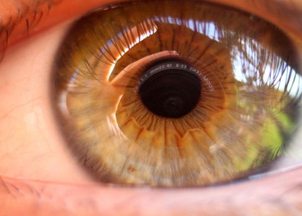 top 10 alimente o vedere sanatoasa de ce vitamine ai nevoie