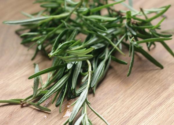 12 efecte benefice ale rozmarinului