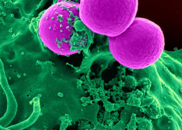 gilead sciences producatorul remdesivir deschide o filiala in romania