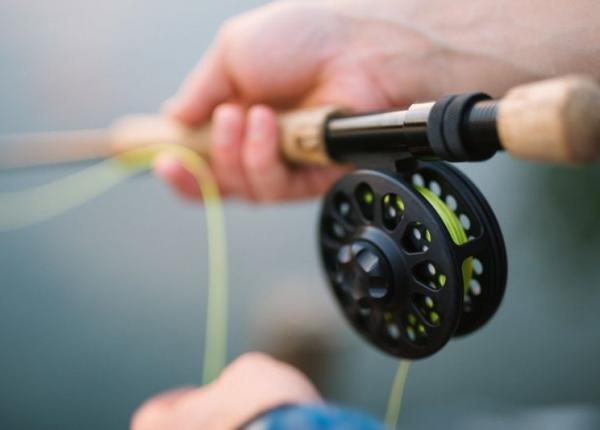 cupa interuniversitara la pescuit sportiv umfcd upb aps pe iazul bila 2