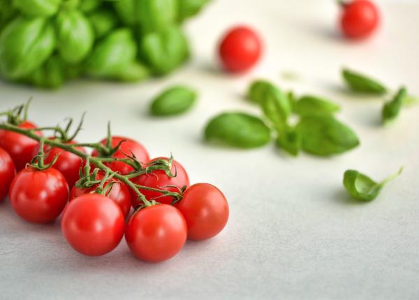 deliciul alimentar care ne protejeaza plantele de boli e si fertillizant 100prc natural