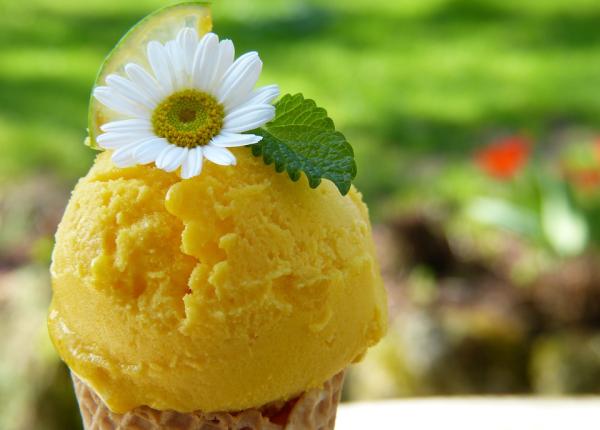 inghetata de lamaie fara zahar cel mai cremos fin si rapid desert de vara