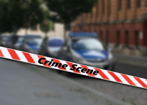 academia de sanatate istoria medicinei legale cu prof dr octavian buda si prof dr vladimir belis