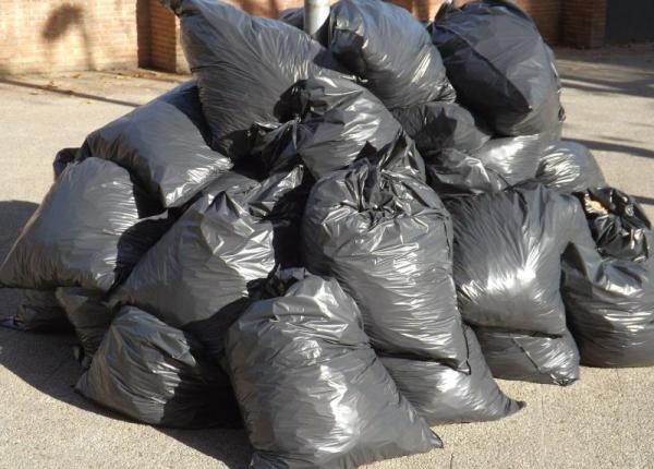 scandalul gunoaielor neridicate din sectorul 1 prof dr monica pop deseurile medicale pot fi o bomba biologica