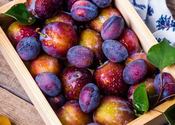 3 alimente cu efecte laxative impotriva constipatiei