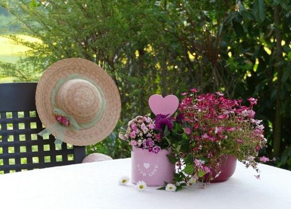 cum sa ai plante frumoase si sanatoase cum ajutorul zatului de cafea