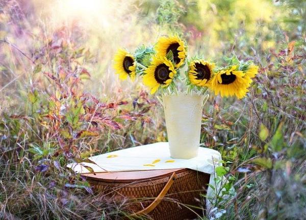 buchetul de flori trucuri cum il mentii proaspat mai mult timp in vaza