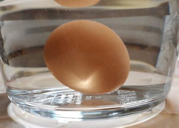 cum iti dai seama daca ouale din frigider sunt stricate 2 teste usoare si rapide