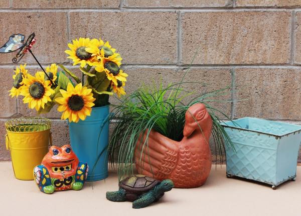 cum te ajuta bicarbonatul de sodiu in gradina solutie 100prc naturala