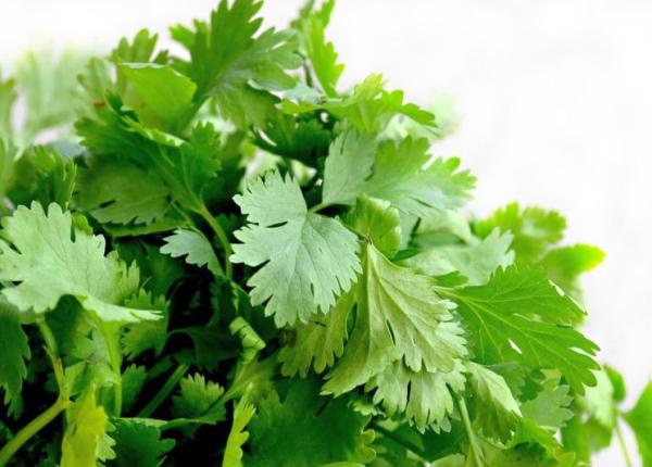 patrunjelul cele 8 efecte fabuloase pe care le are in organism cancer infectii inflamatii