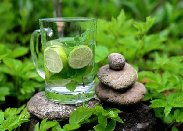 6 plante de gradina odorizant natural care alunga tantarii