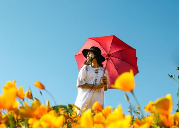 canicula 7 moduri in care te racoresti rapid pe caldura insuportabila