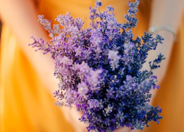 4 beneficii uimitoare ale uleiului de lavanda la ce afectiuni face minuni 4 beneficii uimitoare ale uleiului de lavanda la ce afectiuni face minuni