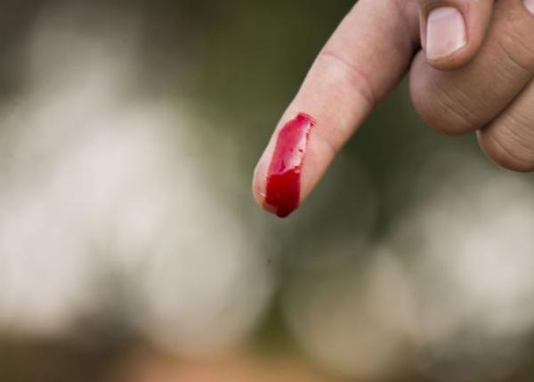 grupa de sange caracterul si dieta 0 sunt sociabii si rezistenti a sunt sensibili si bravi b