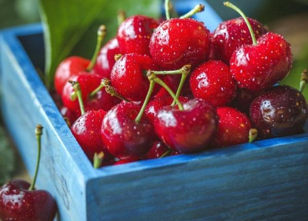 ciresele 6 motive sa le mananci zilnic ne ajuta sa dormim protejeaza de radicalii liber si sunt antiinflamatoare