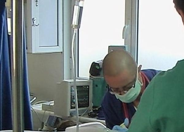 10 lucruri care iti pot salva viata in cazul in intepaturilor de albine explicatiile unui medic