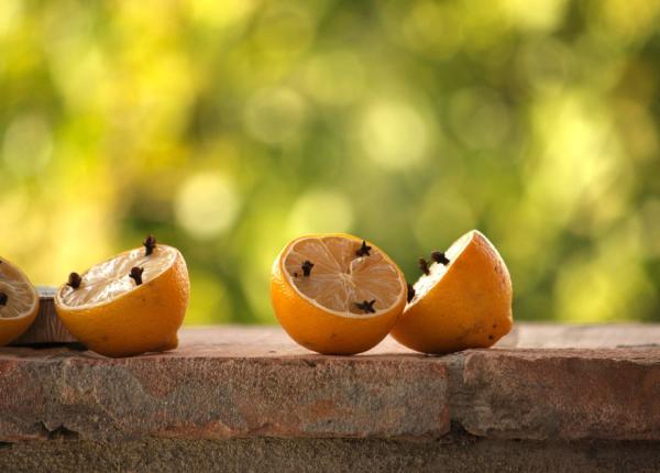 pune cateva cuisoare pe o lamaie si las o in bucatarie