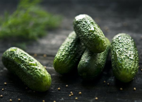 cum sa scapi definitiv de gandaci cu ajutorul castravetilor cel mai simplu truc