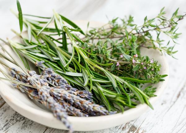 7 lucruri pe care le poti face daca ai rozmarin in casa