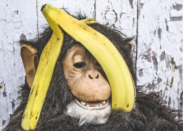 inca 12 de lucruri ciudate pe care le poti face cu cojile de banane