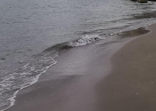 o micro alga toxica produce simptome similare gripei si covid 19 autpritatile au inchis plaja si interzic scaldatul