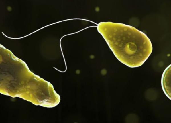 copil de 7 ani mort dupa ce s a infectat cu o amiba care se hraneste cu creier uman