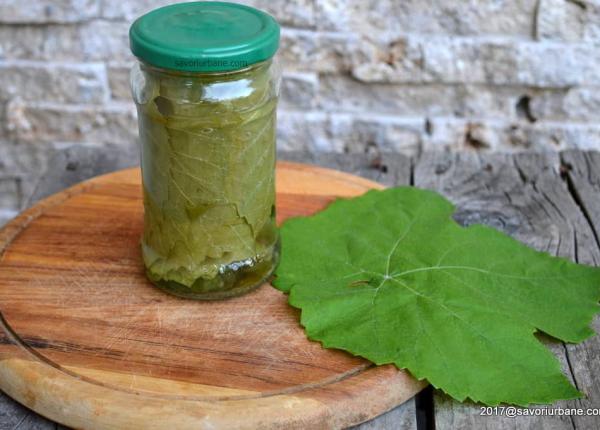 frunze de vita de vie cum le pregatesti pentru iarna metoda simpla care nu are nevoie nici macar de apa