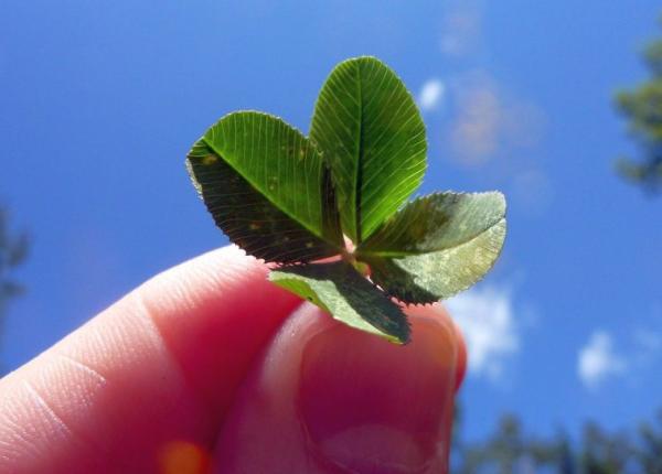 horoscop 21 august zodiile favorizate de astre cine va avea cea mai norocoasa zi de luna asta