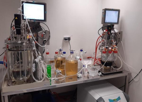 institutul cantacuzino anunta reluarea productiei de polidin noua formula se va putea administra si oral