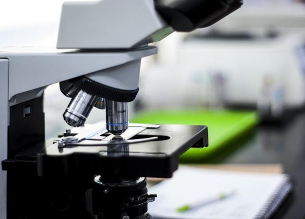 primul vaccin anti covid 19 bazat pe adn si administrat fara ac a fost aprobat in india