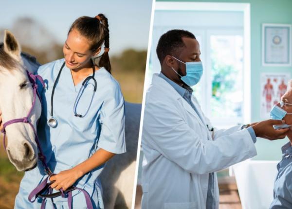 avertisment fda nu folositi ivermectina pentru animale la oameni cu covid 19 nu sunteti cai sau vaci