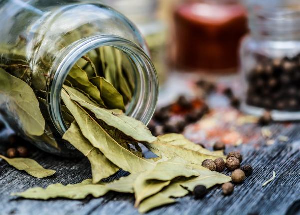 remediu pentru detoxifiere recomandat de lidia fecioru ajuta si pentru oase incheieturi muschi