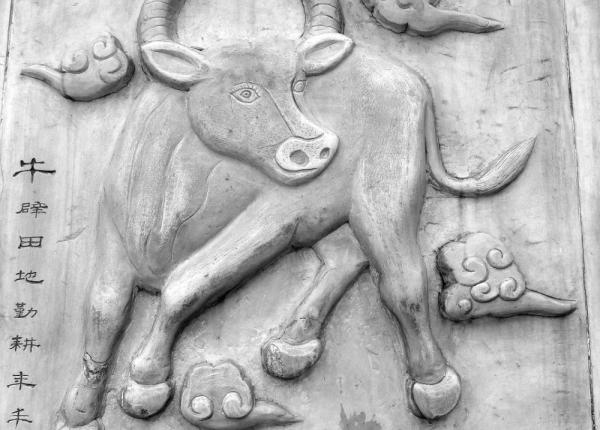 zodiacul chinezesc cele mai ambitioase zodii si anii in care s au nascut ele