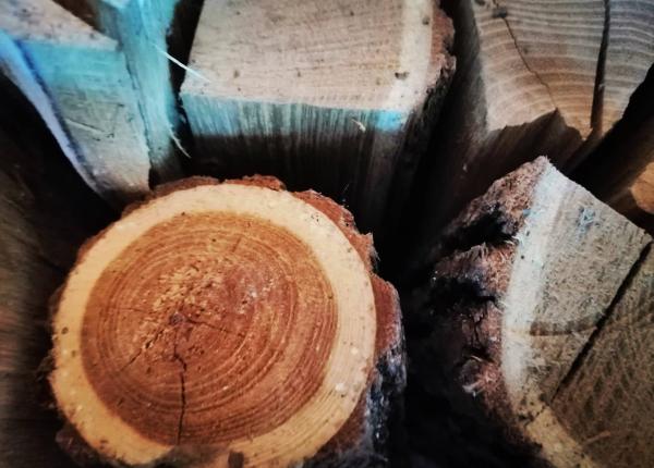 3 greseli pe care sa nu le faci cand vrei sa depozitezi lemnele de foc pentru iarna