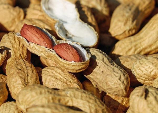 de ce sa mananci 4 5 alune in fiecare zi iti scade riscul de accident vascular cerebral si de boli de inima studiu