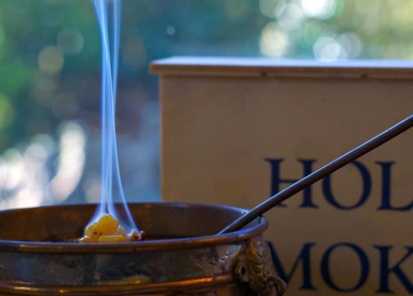 tamaia 6 beneficii nestiute pentru sanatate