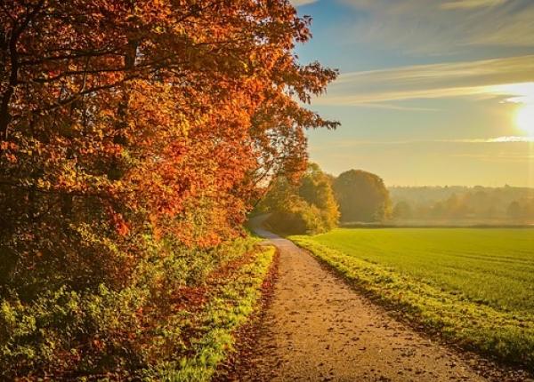 horoscop octombrie 2021 o zodie va avea probleme cu banii iar alta va fi sub lupa sefilor